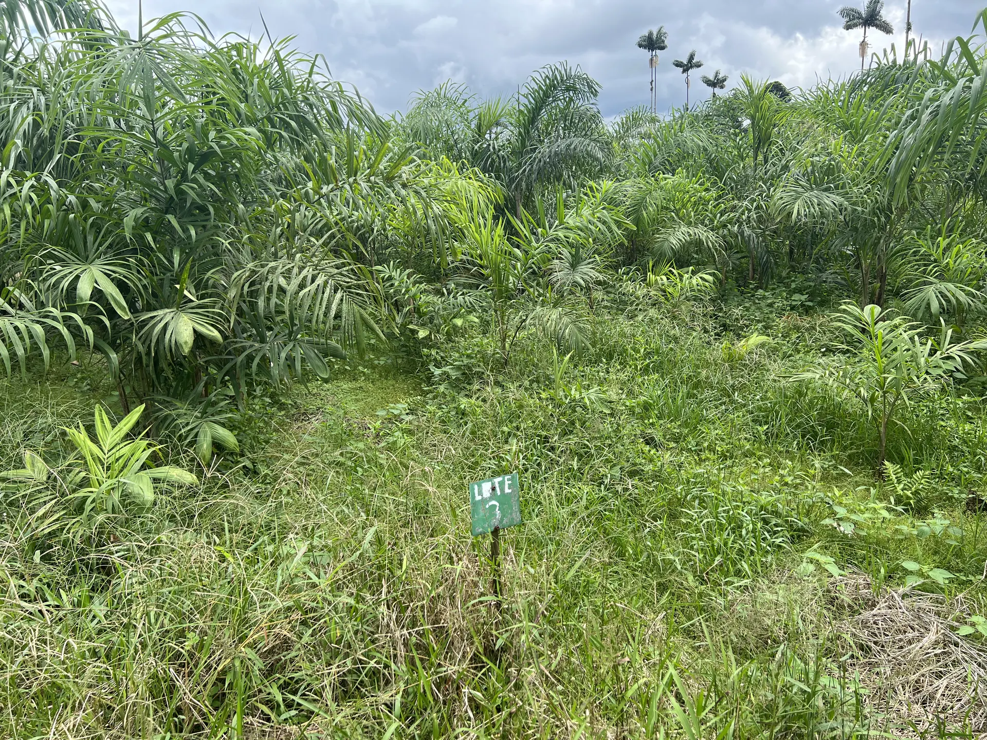 Field Work Records cover